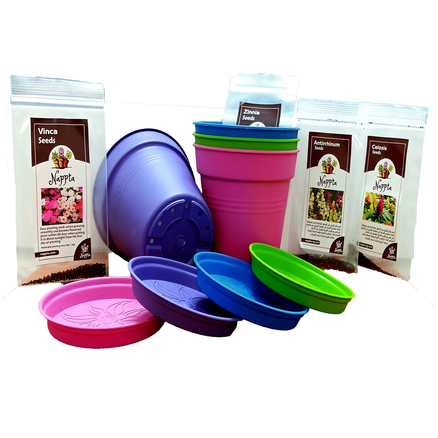 Planting kit for kids
