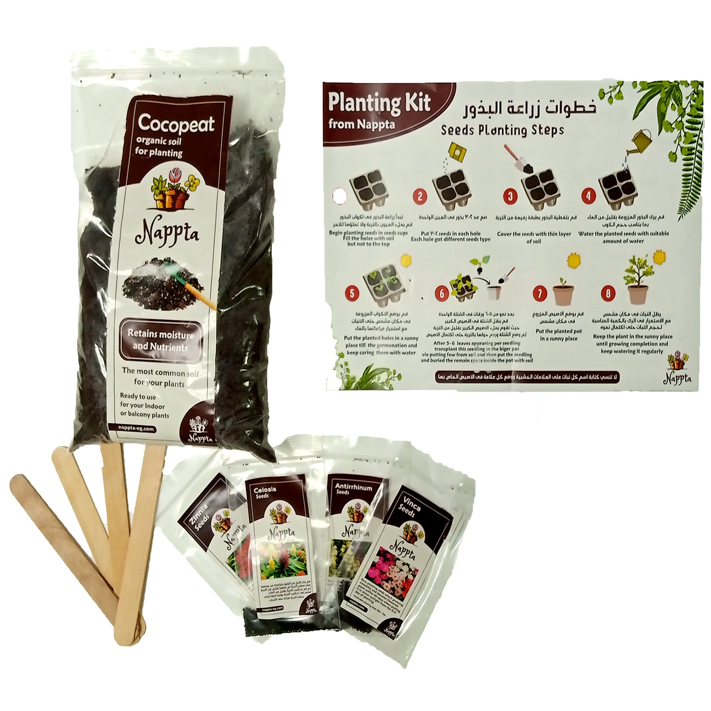 Planting kit for kids