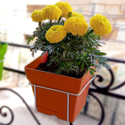 Square pot with carrier