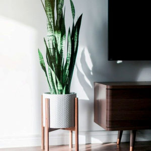 Awesome-Indoor-Plants-Decor-Ideas-For-Your-Home-And-Apartment-38