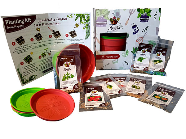 Nappta seeds box (8 vegetables)
