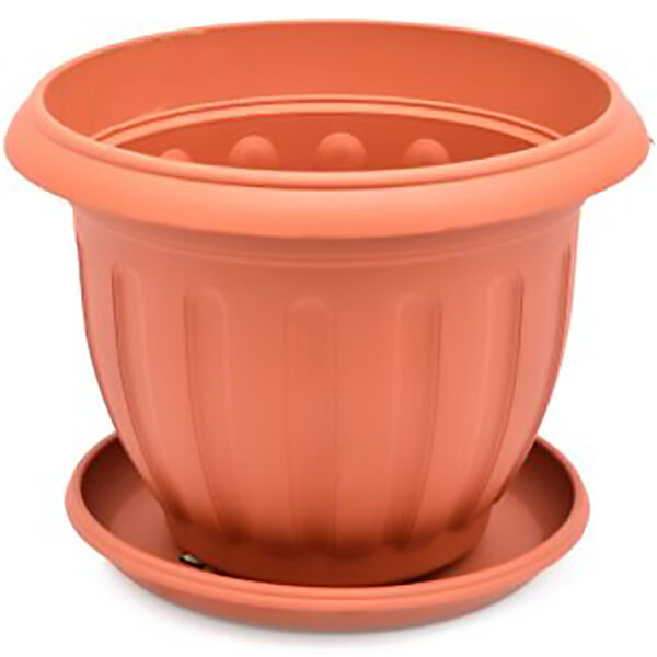 Rounded pot (Basic)